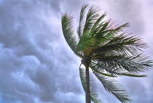 The Importance of Quality Storm Protection
